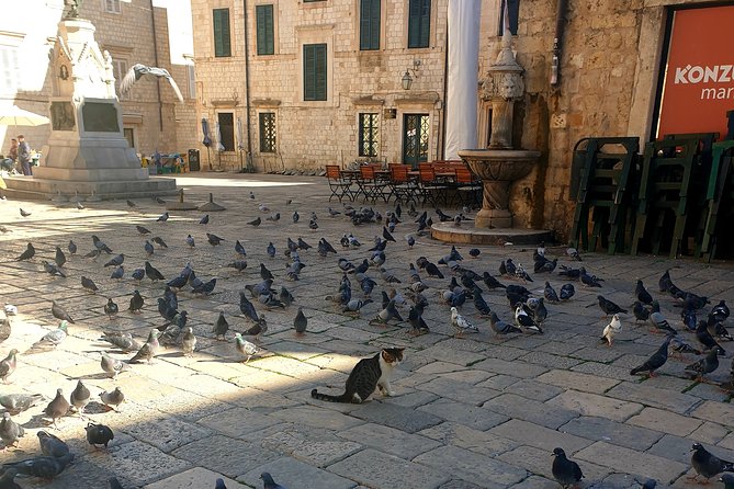 Private Early Morning Dubrovnik Tour - Tour Details