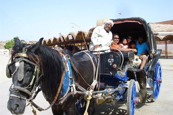 Private East and West Bank Luxor Tour With Carriage Horse Ride - Additional Information