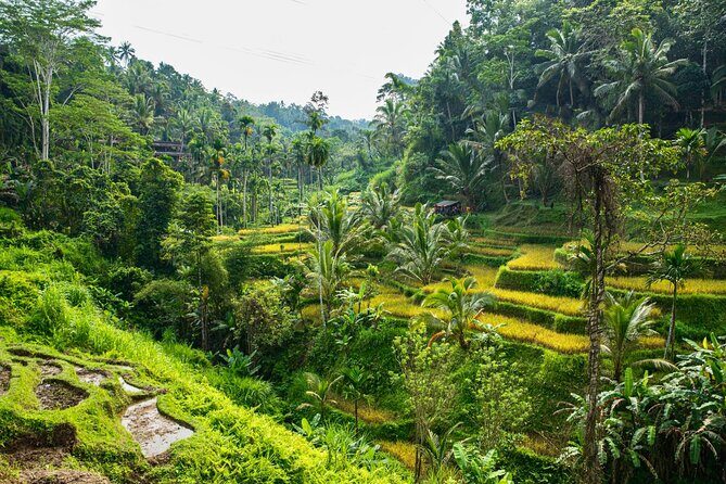 Private East Bali Highlights Tour with Customizable Itinerary - Good To Know