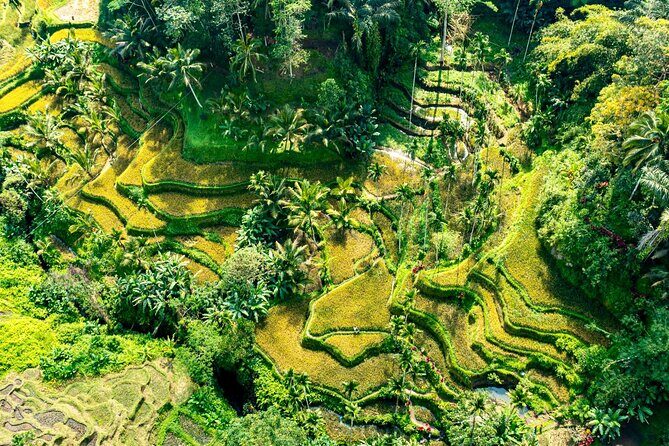 Private East Bali Highlights Tour with Customizable Itinerary - Authentic Experiences and Hidden Gems