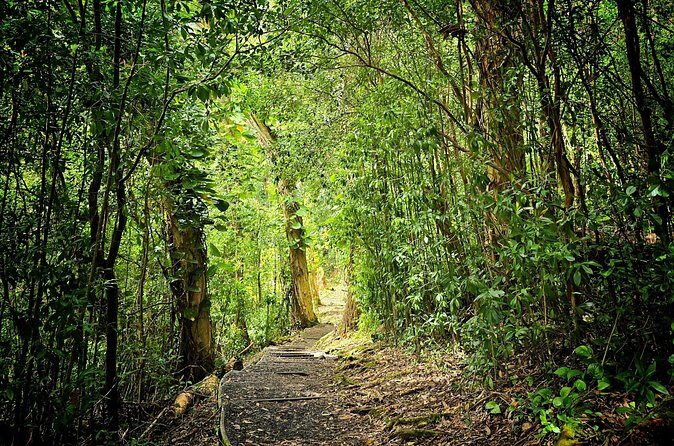 Private East Maui Hiking Experience - Who Will Love This Tour?