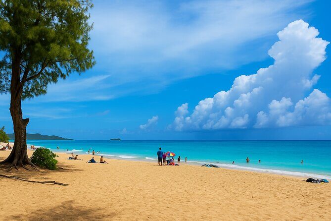 Private East Oahu Highlights Tour Byodo In Temple & Pali Lookout - An In-Depth Look at the Itinerary