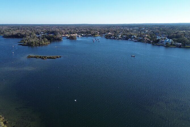 Private Eco Tour in Kings Bay Crystal River Florida - A Deep Dive Into the Experience
