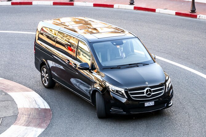 Private Economic VIP Transfer To/From Istanbul Airport - Good Weather Requirement