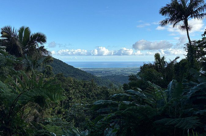 Private El Yunque Adventure  Hidden Waterfalls & El Toro Trail! - Final Thoughts: Is This Tour Worth It?