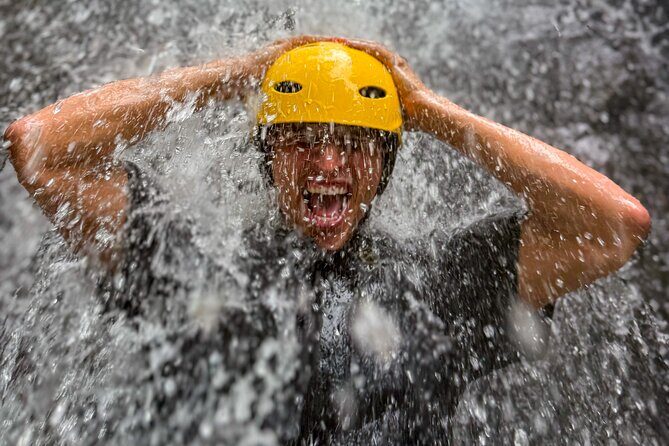 Private El Yunque Half-Day Tour with Transport - Good To Know