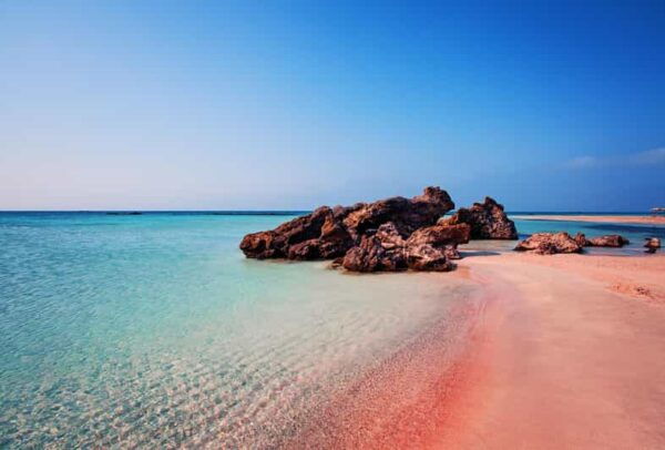 Private Elafonisi Full Day Tour From Chania or Rethymno - Language and Driver Information