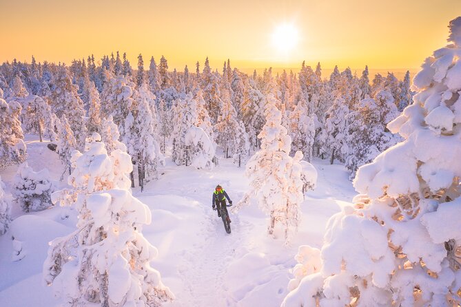 Private Electric Fat Bike Winter Tour in Rovaniemi - Overview and Inclusions