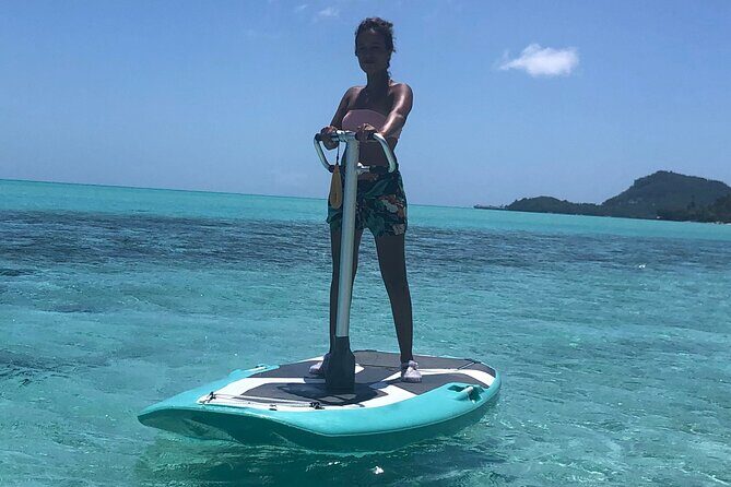 Private Electric Paddle Cruise in Bora Bora - The Scenic Journey and Marine Encounters