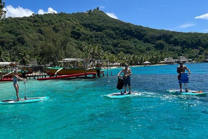 Private Electric Paddle Cruise in Bora Bora - Pricing and Value