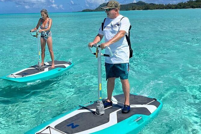 Private Electric Paddle Cruise in Bora Bora - Who Will Love This Tour?