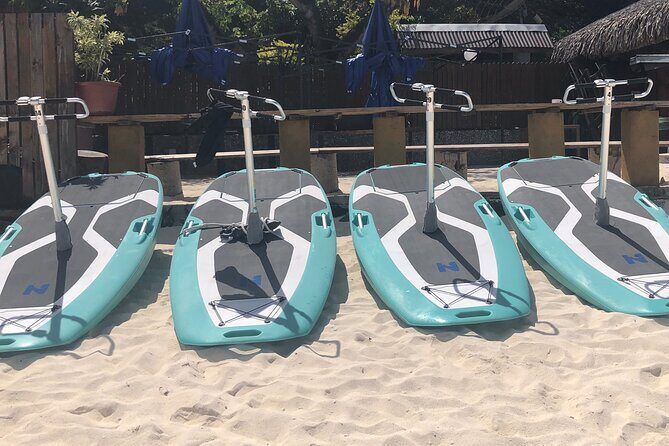 Private Electric Paddle Cruise in Bora Bora - FAQ