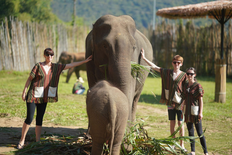 Private Elephant Care, ATV, Waterfall & Rafting Day Trip - A full day in Mae Wang, not a quick elephant stop