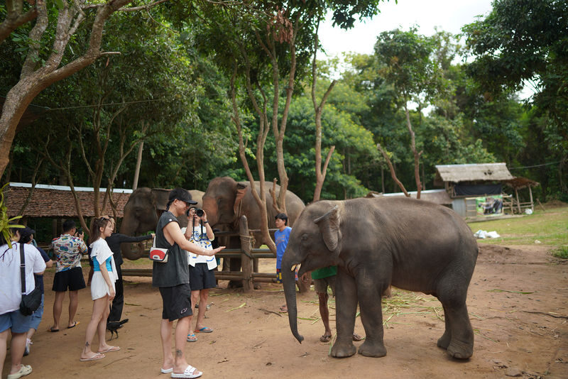 Private Elephant Care, ATV, Waterfall & Rafting Day Trip - What the price includes, and what it is worth