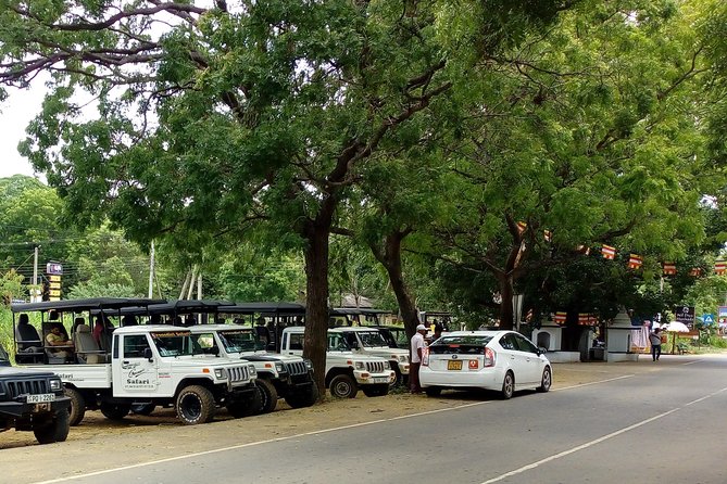 Private Ella and Udawalawe Safari 2-Day Tour From South Coast  - Galle - Common Questions