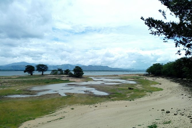 Private Ella and Udawalawe Safari 2-Day Tour From South Coast  - Galle - The Sum Up