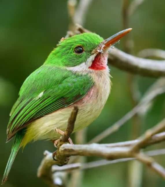 Private: Emerald Coast Mountain Escape from Punta Cana - Exploring Playa Esmeralda: A Beach Dream