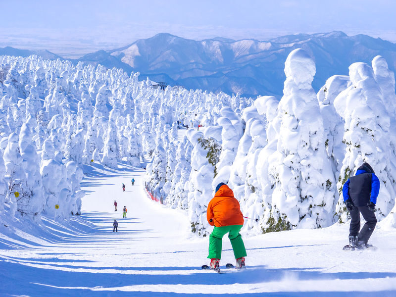 Private English and Chinese ski lessons and photography services at Zao Onsen Ski Resort - What to know before you book