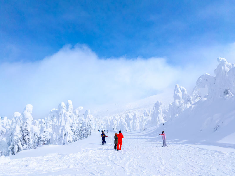 Private English and Chinese ski lessons and photography services at Zao Onsen Ski Resort - Who will get the most from this lesson