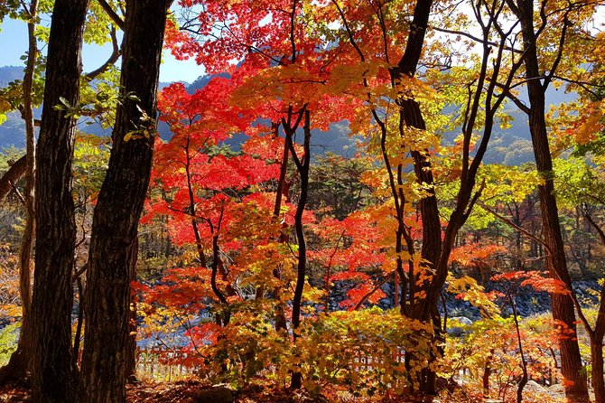Private English Speaking Driver: Seoraksan & East Sea or Nami Island From Seoul - Pickup Details