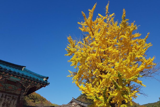Private English Speaking Driver: Seoraksan & East Sea or Nami Island From Seoul - Additional Information