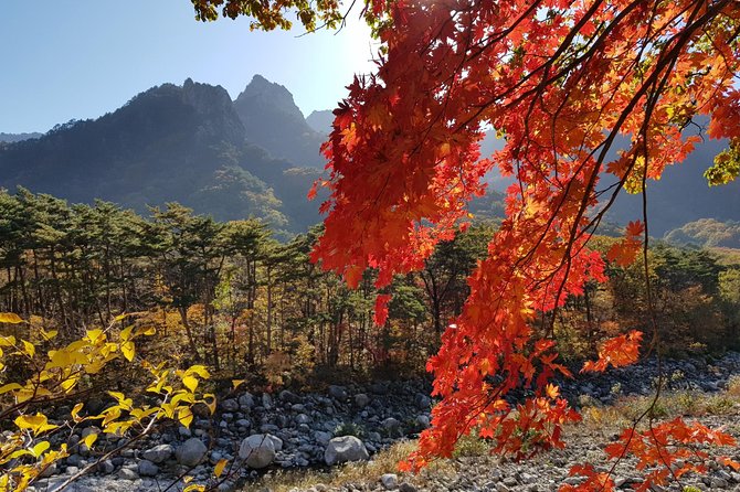 Private English Speaking Driver: Seoraksan & East Sea or Nami Island From Seoul - Cancellation Policy and Reviews