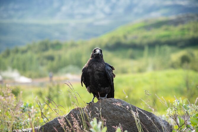 Private Enhanced Golden Circle 4X4 Tour in Iceland - Tour Highlights