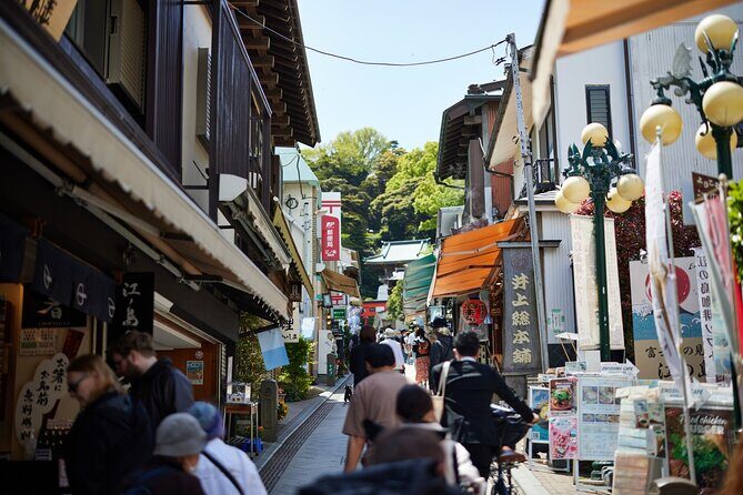 Private Enoshima and Kamakura Custom Walking Tour - FAQ
