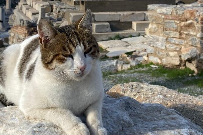 Private Ephesus and Artemis Temple Half Day Tour - Traveler Reviews