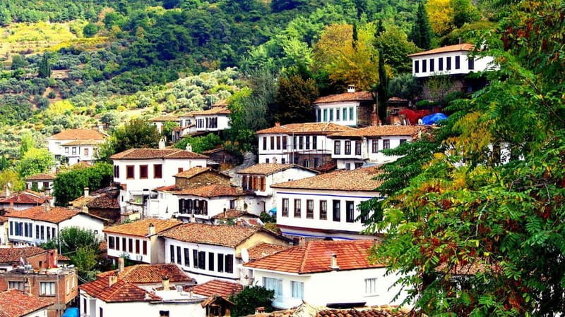 Private Ephesus and Sirince Village Tour Cruiser Only - What Sets This Tour Apart