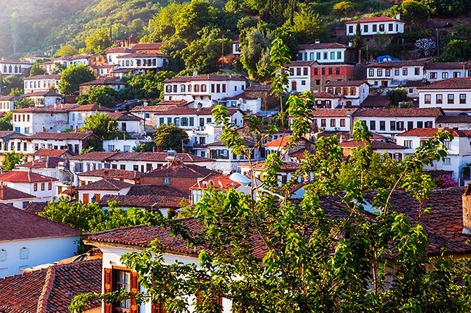 Private Ephesus and Sirince Village Tour From Kusadasi Port With Lunch - Customer Reviews