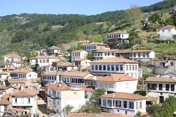 Private Ephesus, Terrace Houses & Sirince Village Tour - Tour Highlights