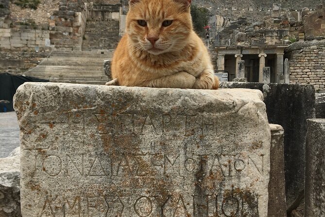 Private Ephesus Tour From İZmir ÇeşMe Port/Hotels - Highlights of the Tour