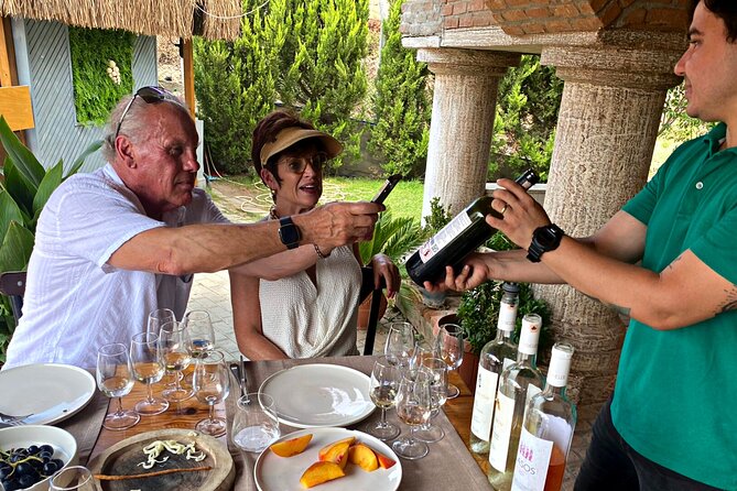 Private Ephesus Tour With Wine Tasting - Customer Reviews