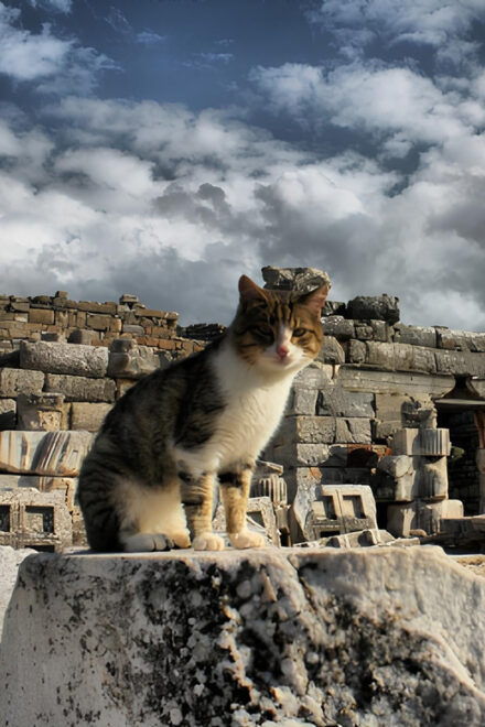 Private Ephesus,Şirince,Virgin Marry House Tour - House of Virgin Mary