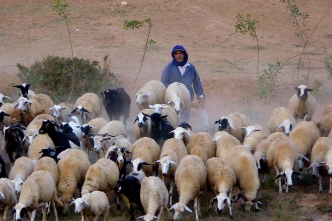 Private Escape to the Atlas Mountains: a Unique Cultural Day Out of Marrakech - Directions