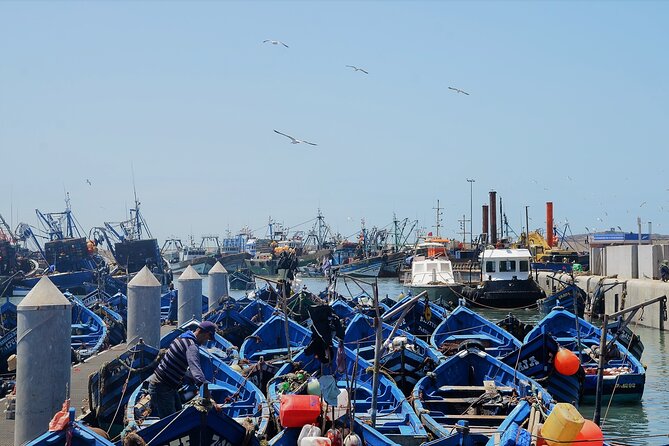 Private : Essaouira Day Trip From Marrakech - Common Questions