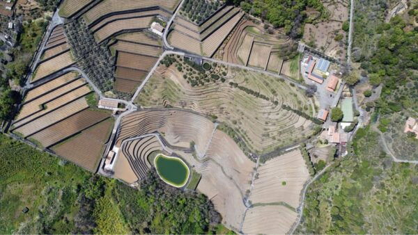 Private Etna Panoramic Tour+Wine Tasting & Food Combination - Important Recommendations