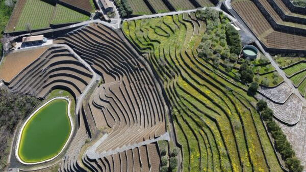 Private Etna Panoramic Tour+Wine Tasting & Food Combination - Booking Information and Cancellation