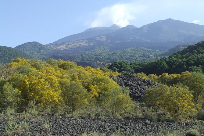 Private Etna Tour From Messina With Food&Wine at Etna Winery - What To Expect During the Tour