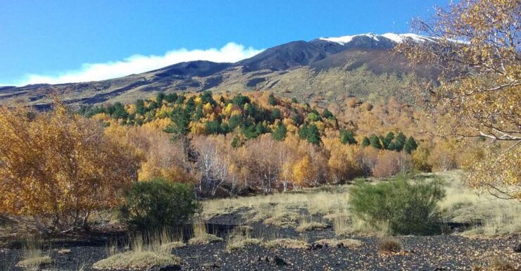 Private Etna Tour From Taormina - Good To Know