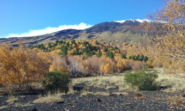 Private Etna Tour From Taormina - Tips for the Tour