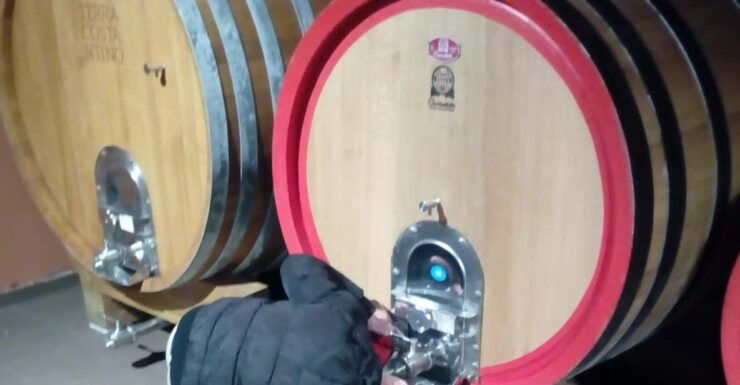 Private Etna Wine Tour - Itinerary Details
