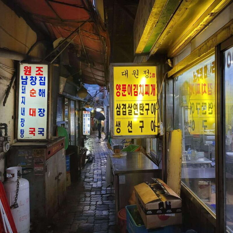 Private evening at leisure in Seoul with an English-speaking guide - Final Thoughts: Is It Worth It?