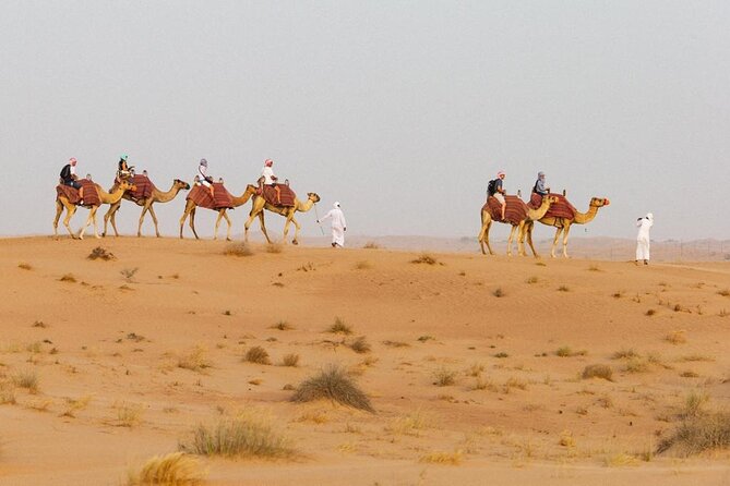 Private Evening Desert Safari BBQ Dinner & Camel Ride & Live Show - Cancellation Policy