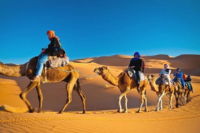 Private Evening Desert Safari With BBQ Dinner Dubai - Pricing and Terms