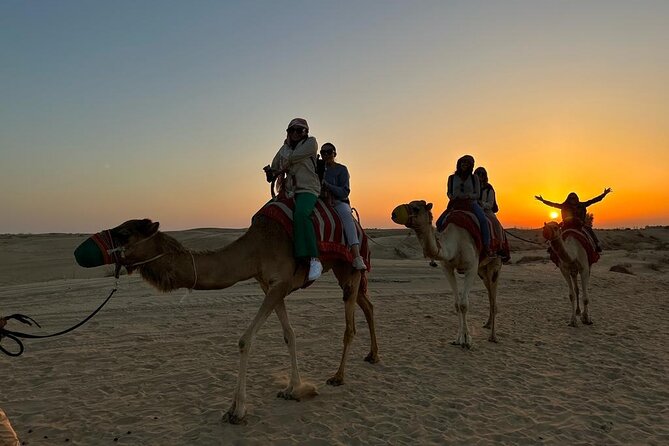 Private Evening Desert Safari With BBQ Dinner in Dubai - Sources and Platforms