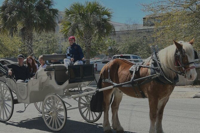 Private Evening Historic Carriage Tour in Charleston - Good To Know