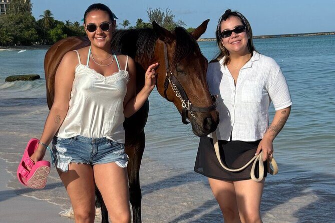 Private Evening Horse Ride on the Beach - An Overview of the Experience