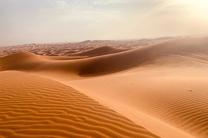 Private Evening in Red Dunes of Dubai With Dinner - Transportation to the Red Dunes